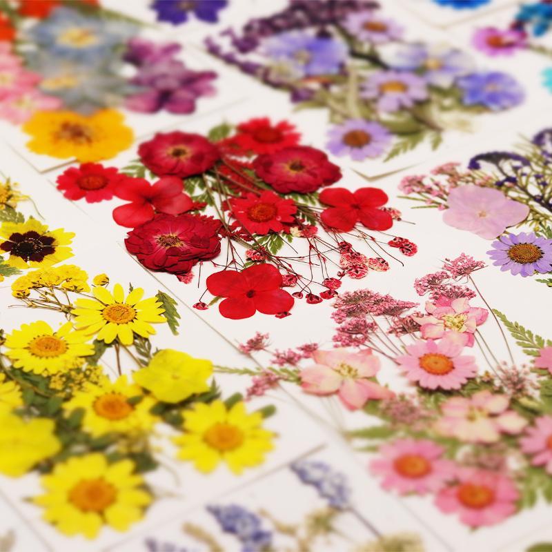 Resin Craft Ideas - 本物の天然乾燥植物の花 DIYクラフト材料 ネイルアート、手工芸品、レジンジュエリー、手作りプロジェクト用
