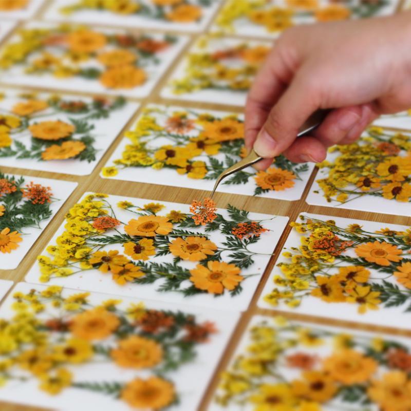 本物の天然乾燥植物の花 DIYクラフト材料 ネイルアート、手 - Resin Craft Ideas のレビューと価格