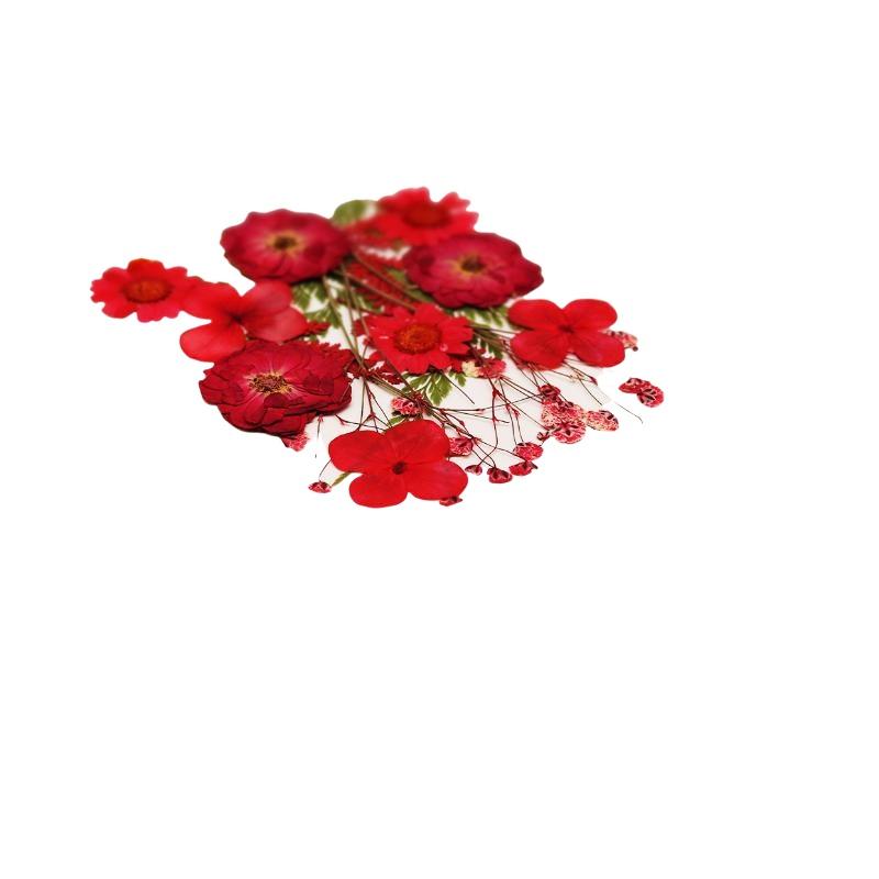 本物の天然乾燥植物の花 DIYクラフト材料 ネイルアート、手 - Resin Craft Ideas のレビューと価格