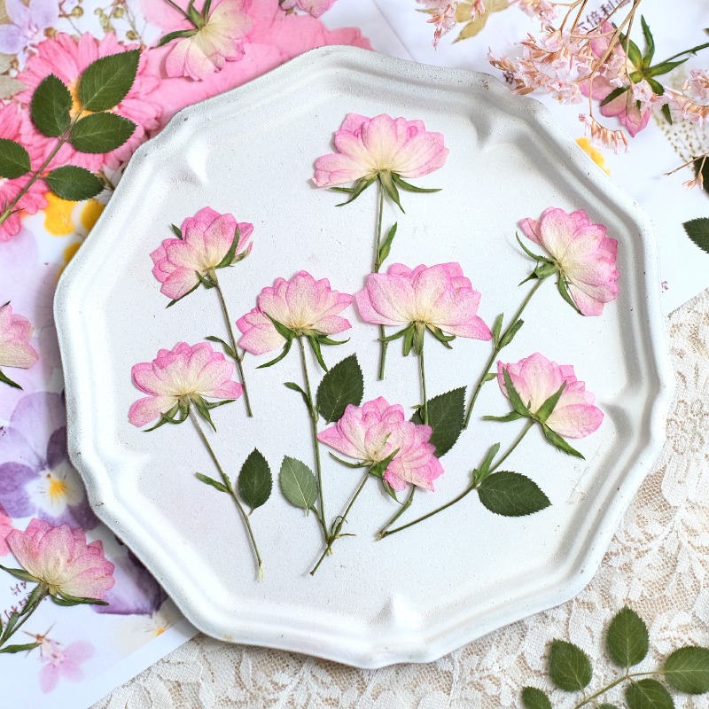 12個入り、本物の乾燥圧縮花、携帯電話ケースDIY用、ピンク - Resin Craft Ideas のレビューと価格