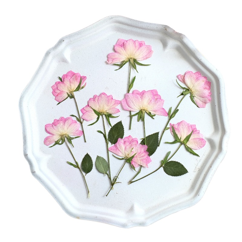 12個入り、本物の乾燥圧縮花、携帯電話ケースDIY用、ピンク - Resin Craft Ideas のレビューと価格